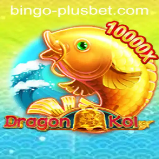 Discovering DragonKoi and BINGO PLUS