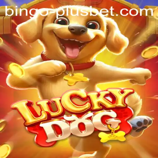 Discovering the Excitement of LuckyDog: BINGO PLUS