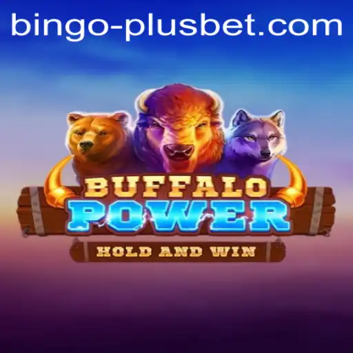 Exploring Buffalo Power and Bingo Plus