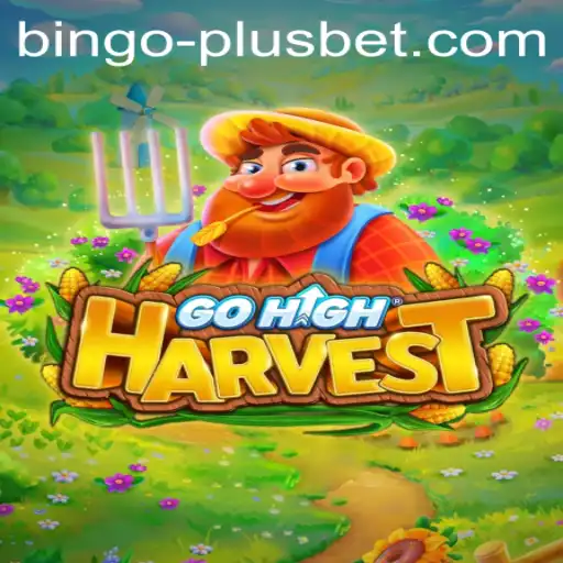 Exploring the Alluring World of GoHighHarvest and BINGO PLUS