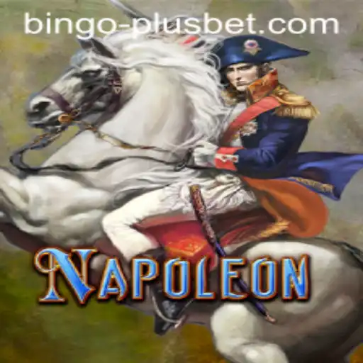 Exploring the Strategies and Rules of Napoleon and Bingo Plus