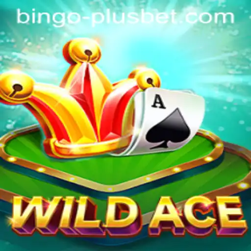 WildAce: A New Gaming Frontier with BINGO PLUS